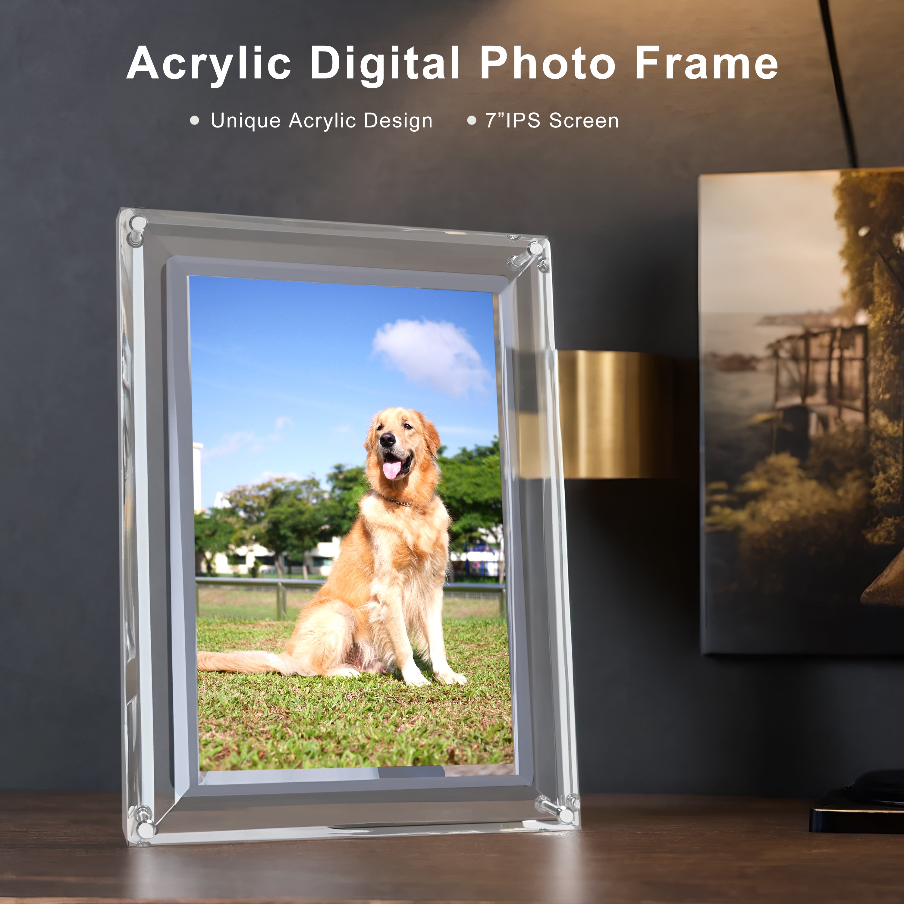 Framezon© | Acrylic digital video frame